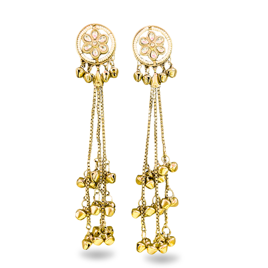 Kashmiri Floral Long Earrings – Elegant Ethnic Drop